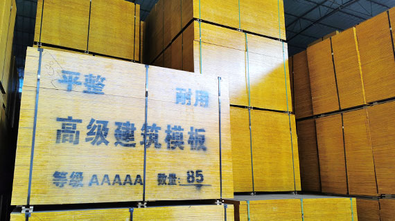 公司簡介